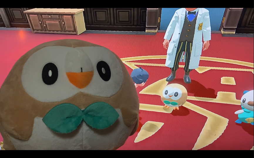 【阿尔宙斯】羊驼之夜…你不要过来啊