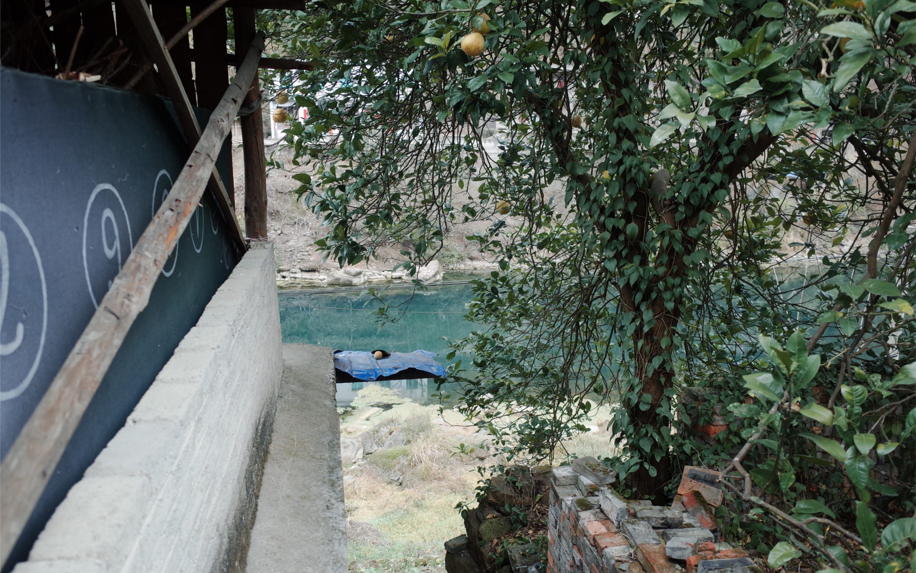 路边野餐插曲《小茉莉》——凯里平良