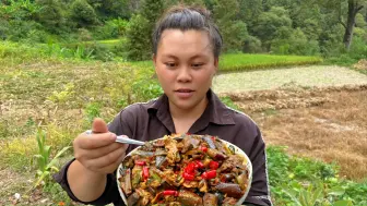 今天摘些秋茄子来炒鸡蛋，又香又辣非常下饭