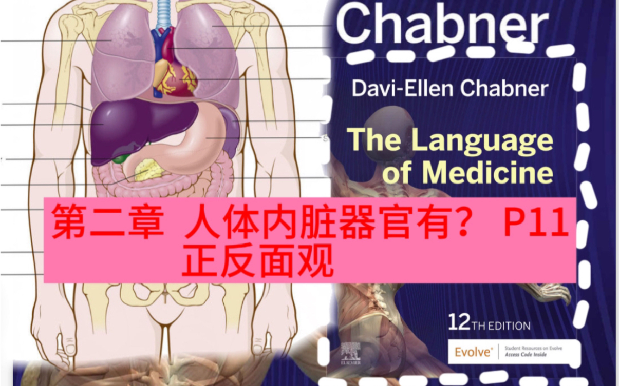 医学生们!你知道你的内脏咋用英语说不?chapter2: How to use medical English to describe visceras?哔哩哔哩bilibili