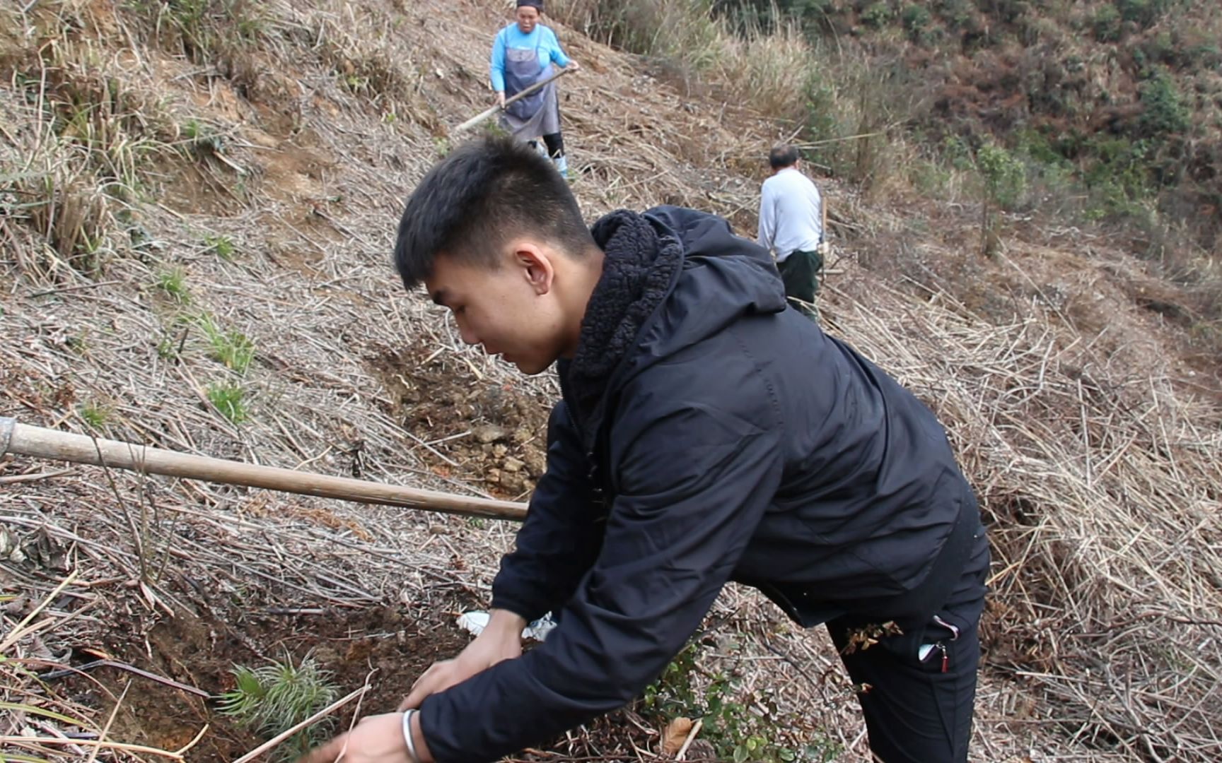 保护环境的时候到了,农村小伙和爷爷奶奶一起在山上种小杉树苗