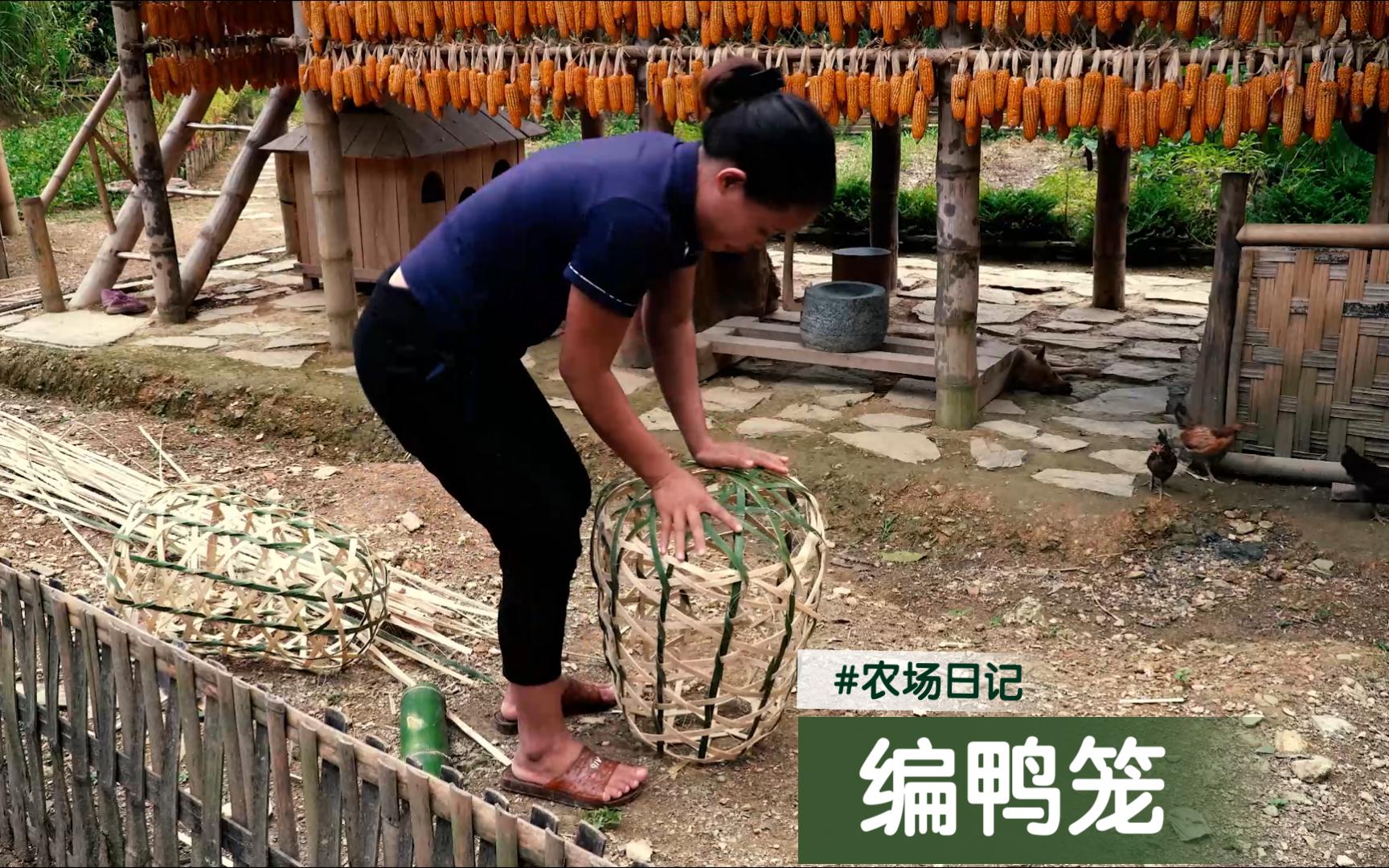 女子深山建农场/欲想拥有更多鸭/需用肥鸭换鸭苗/削竹编笼把鸭捉哔哩哔哩bilibili