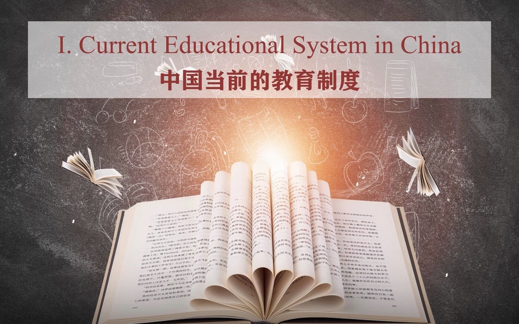 [图]春风化雨：当代教育体系 Current Chinese Educational System