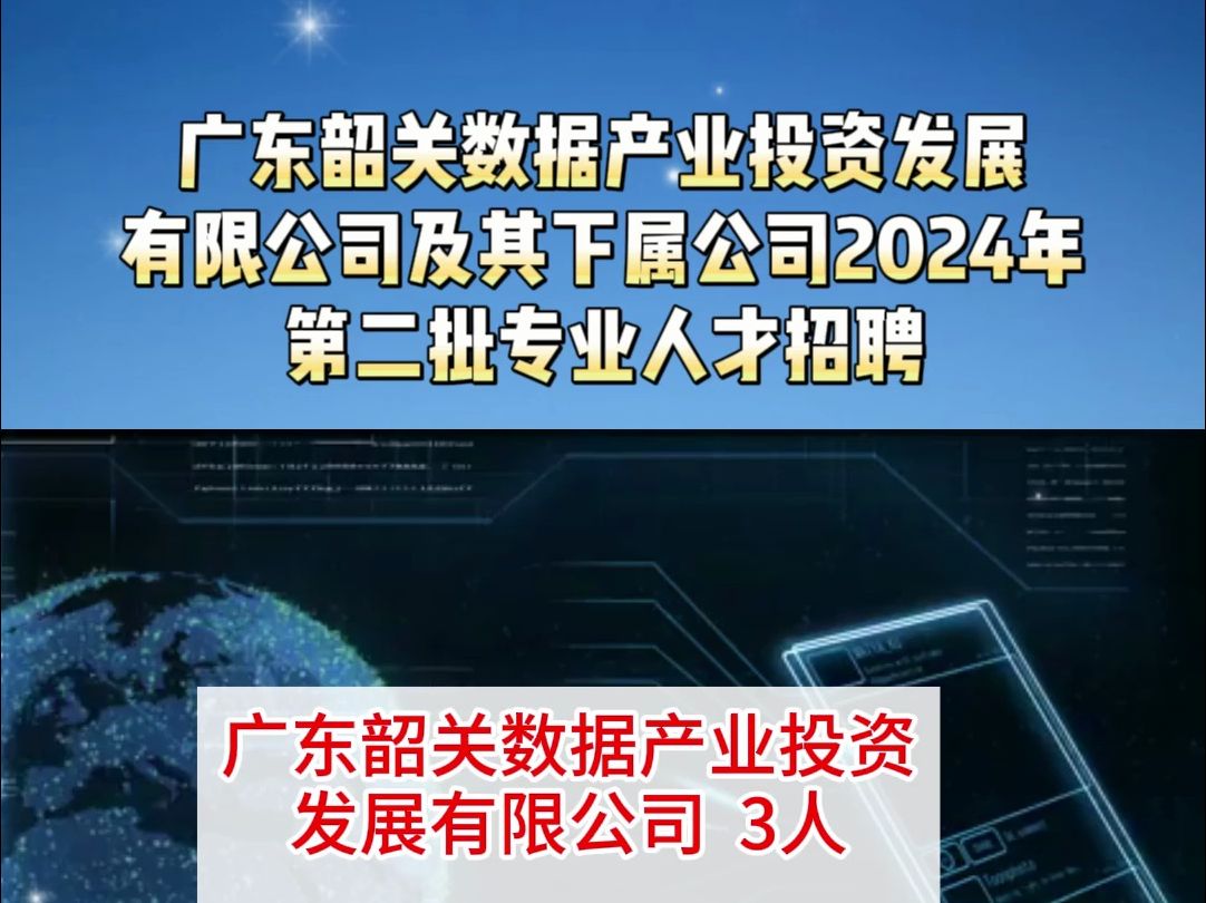 广东韶关数据产业投资发展有限公司及其下属公司2024年第二批专业人才招聘哔哩哔哩bilibili