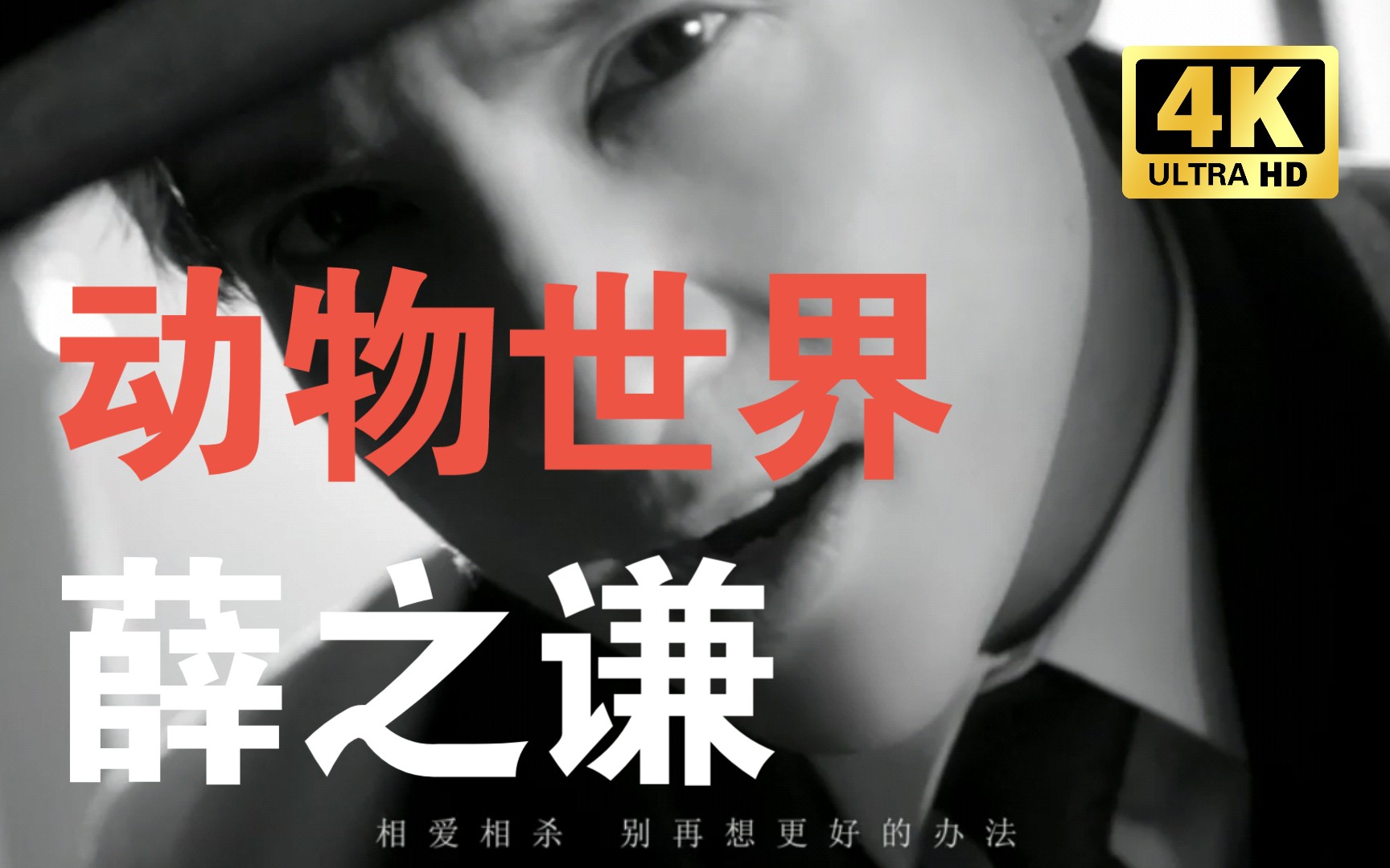【薛之谦】热门歌曲推荐《动物世界》mv完整版