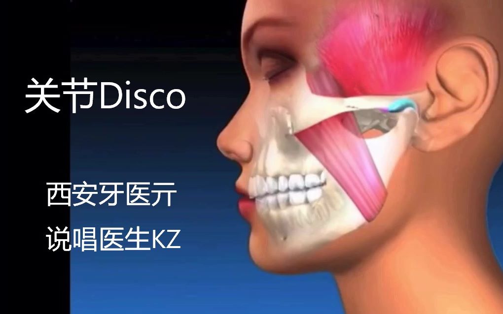 关节Dsico(TMJ Disco)哔哩哔哩bilibili