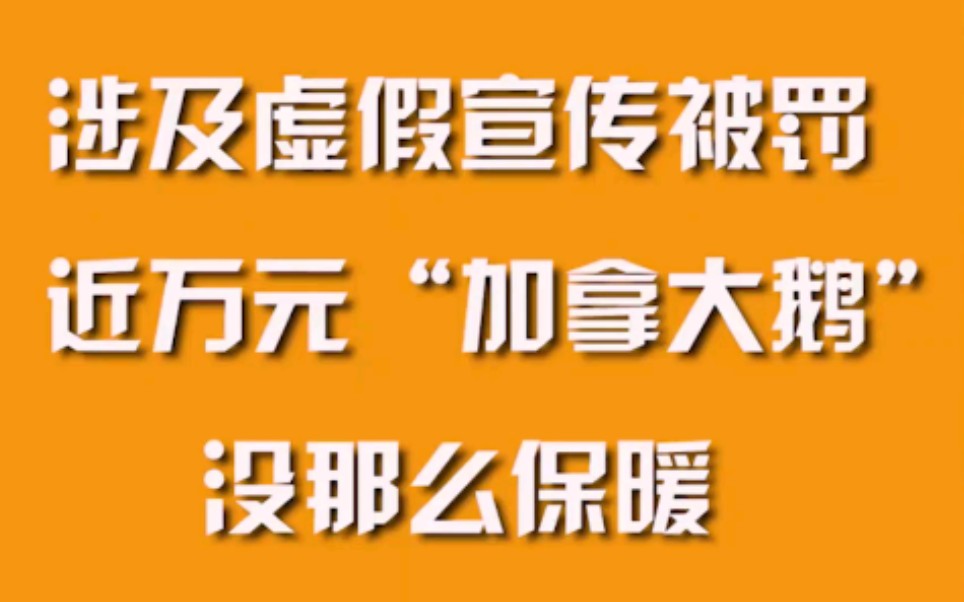 涉及虚假宣传被罚,近万元“加拿大鹅”没那么保暖哔哩哔哩bilibili