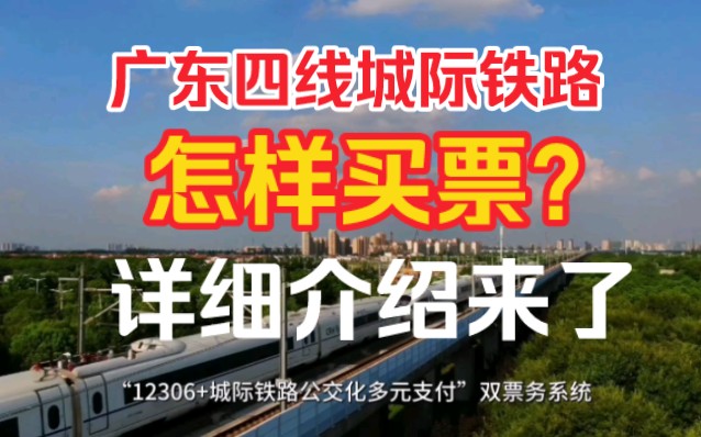 广东四线城际铁路怎样买票?请看过来,提前做好准备,轻松出行哔哩哔哩bilibili