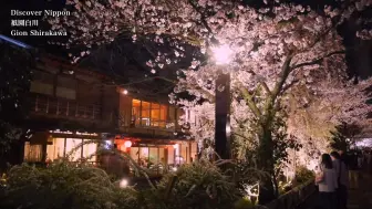 Télécharger la video: 日本旅游 京都的樱花夜景