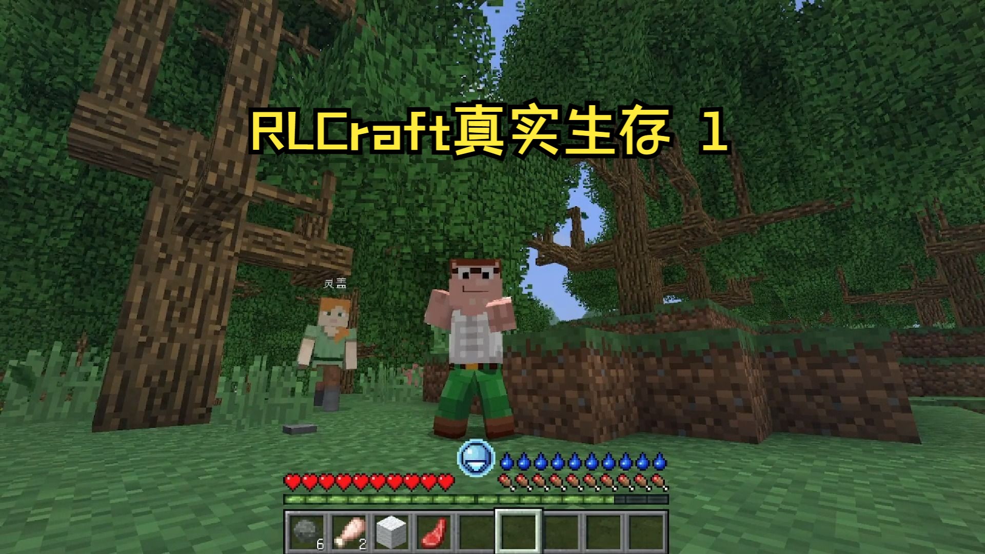 [图]RLCraft真实生存 1 初来乍到大家多多支持