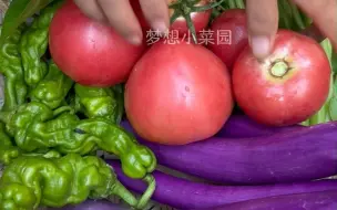 Video herunterladen: 自己种菜，好歹种一些，一年四季新鲜蔬菜不断档。