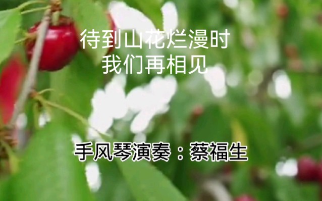 [图]待到山花烂漫时我们再相见