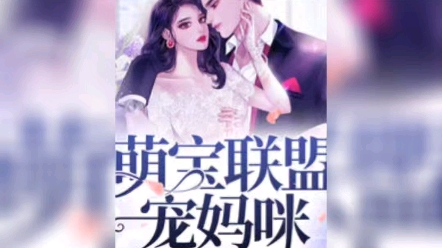 小说全集在线阅读全文哔哩哔哩bilibili