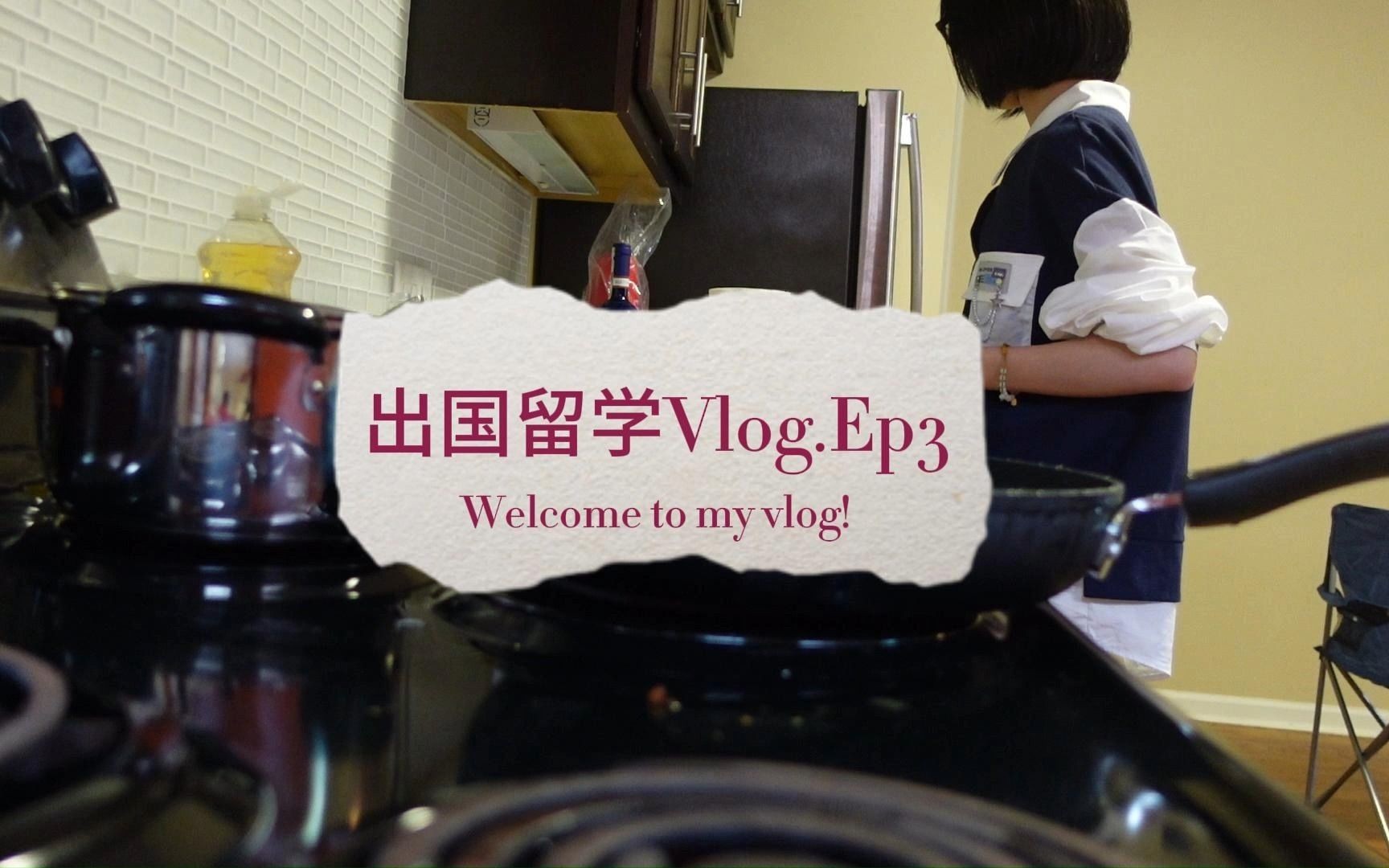 留学vlog Ep.3 | 第一次做饭 | 美国女研究生开酒特技 | 学习 | 英文电话 | 宜家 | Chowbus哔哩哔哩bilibili