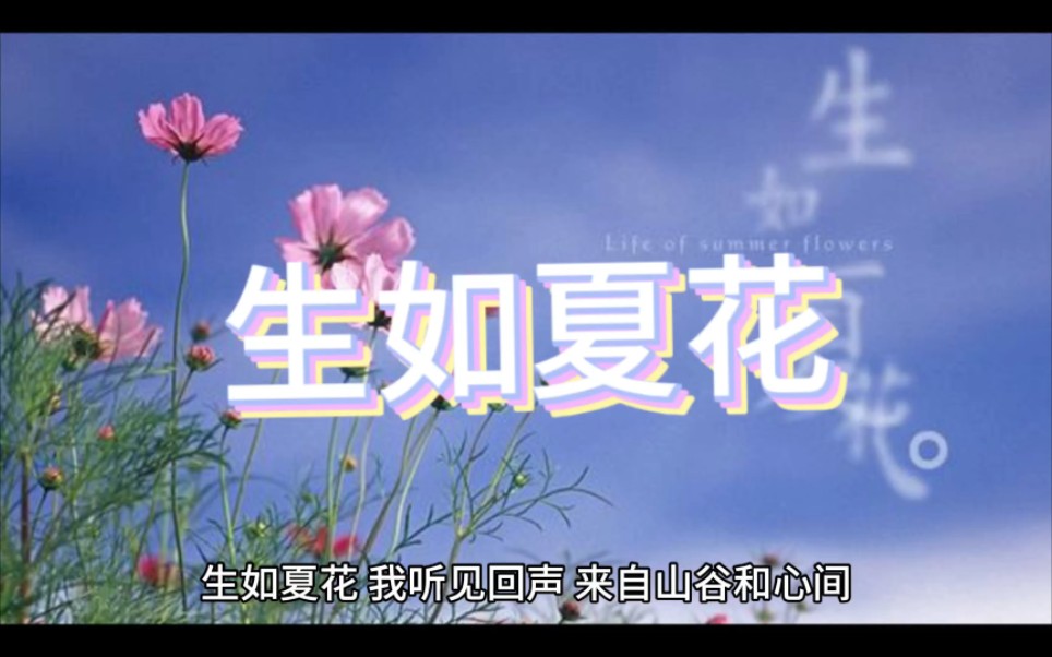 生如夏花之绚烂,死如秋叶之静美!