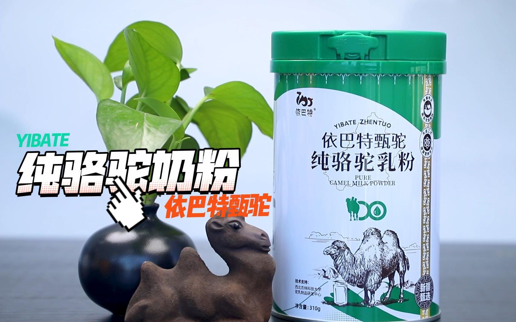 依巴特甄驼纯骆驼奶粉,配料只有生驼乳,新疆纯骆驼奶粉