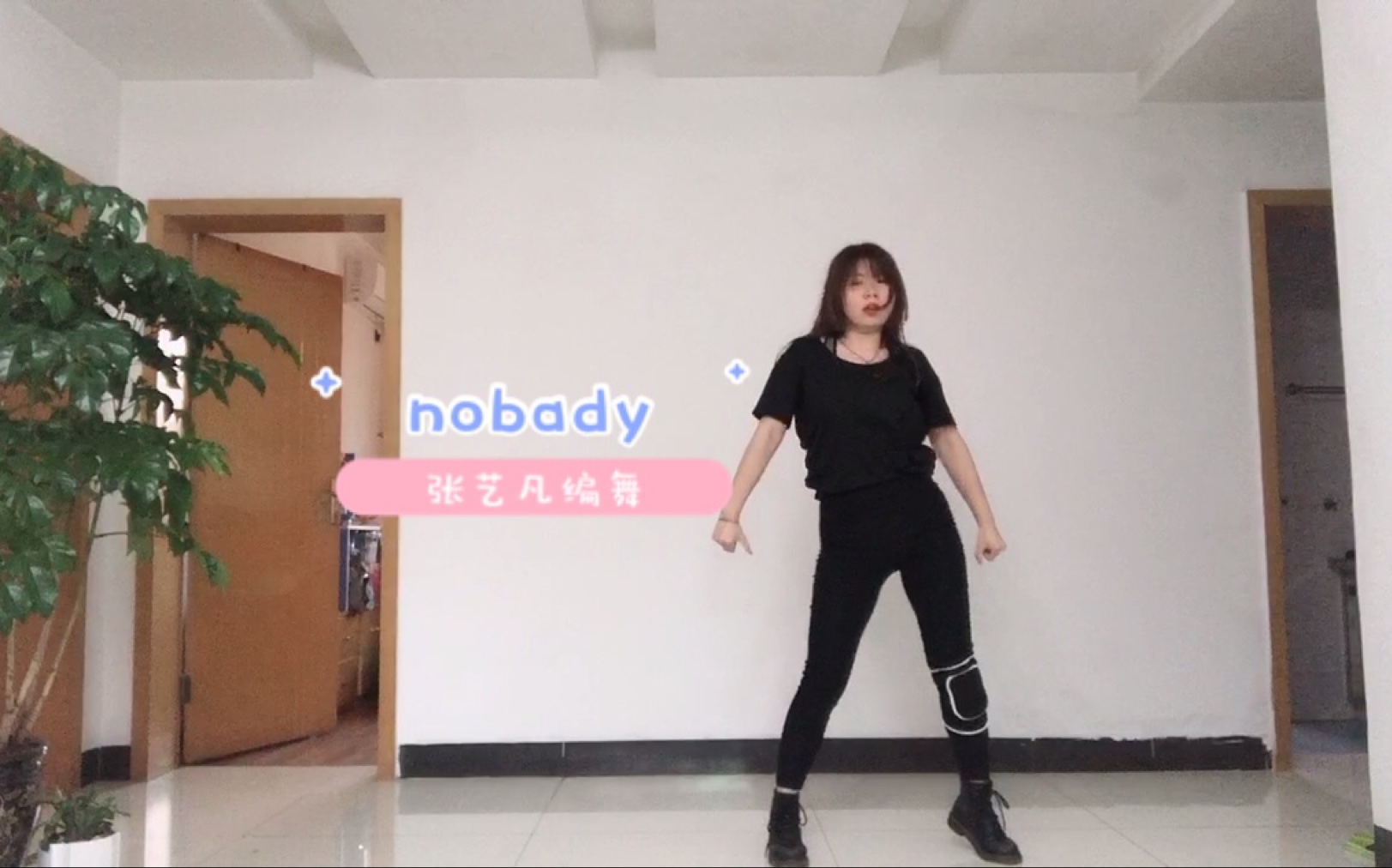 nobady张艺凡哔哩哔哩bilibili