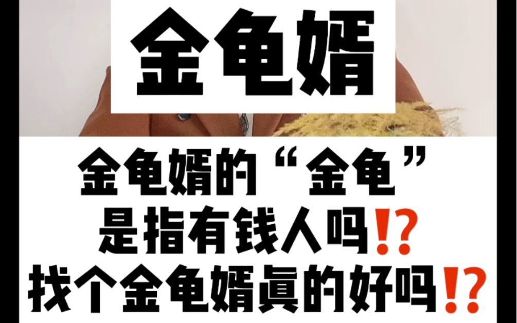 金龟婿的金龟是指有钱人吗63找个金龟婿真的好吗63
