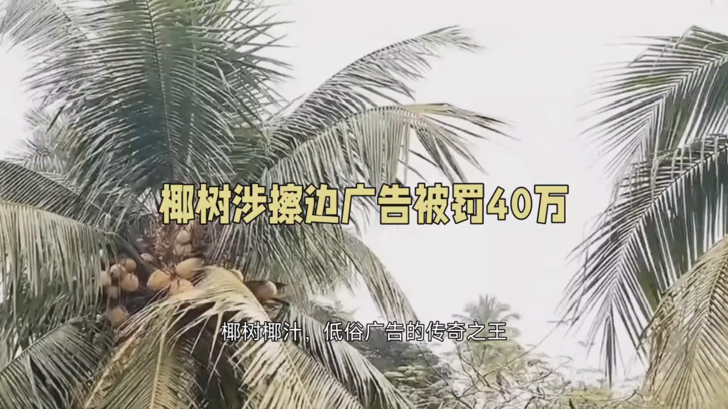 大型纪录片之低俗广告之王椰树椰汁