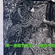 Télécharger la video: 来一波细节展示——黑白木刻