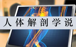 Download Video: 人体解剖学精讲（10讲）