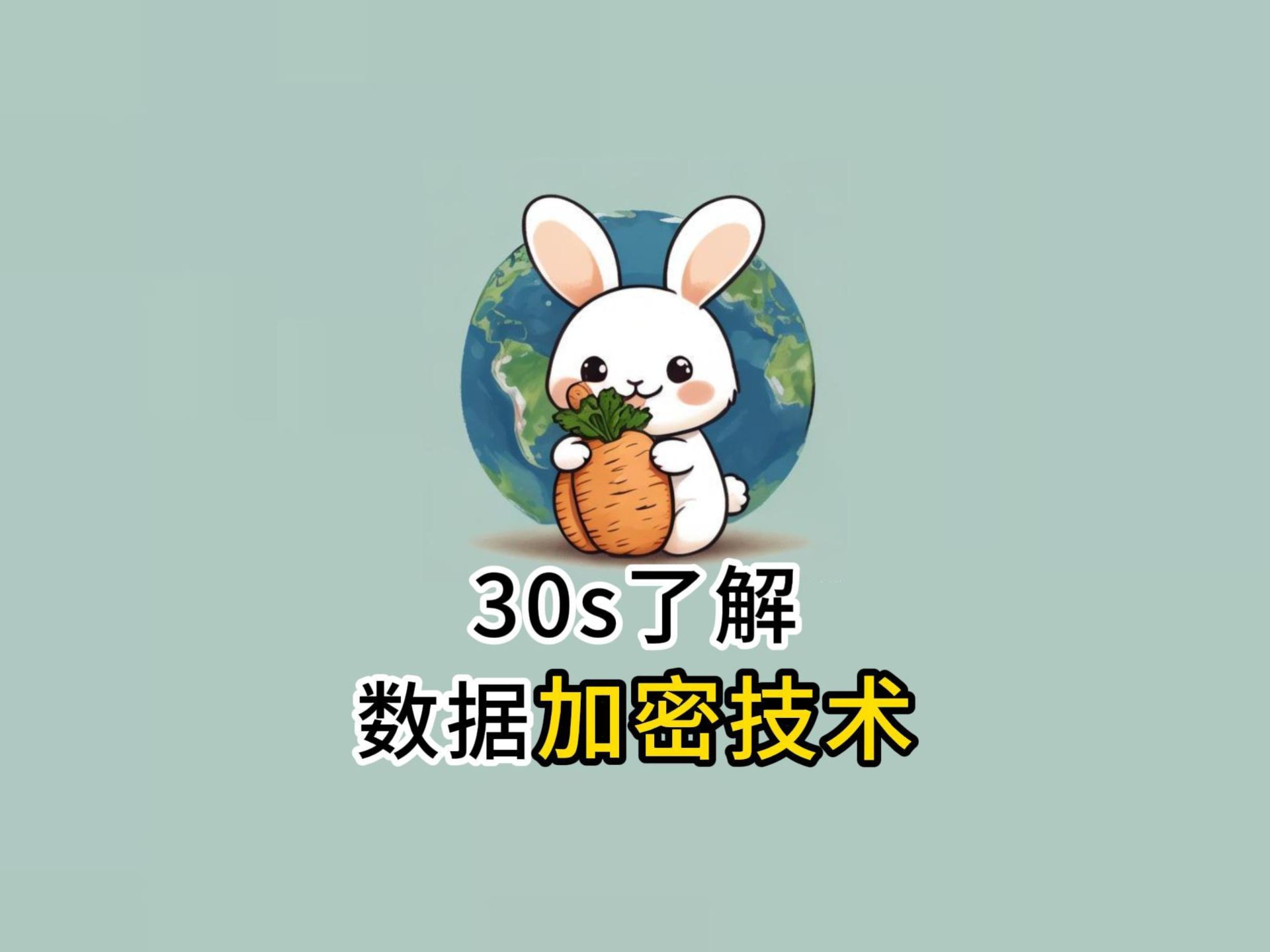 30s了解数据加密技术哔哩哔哩bilibili