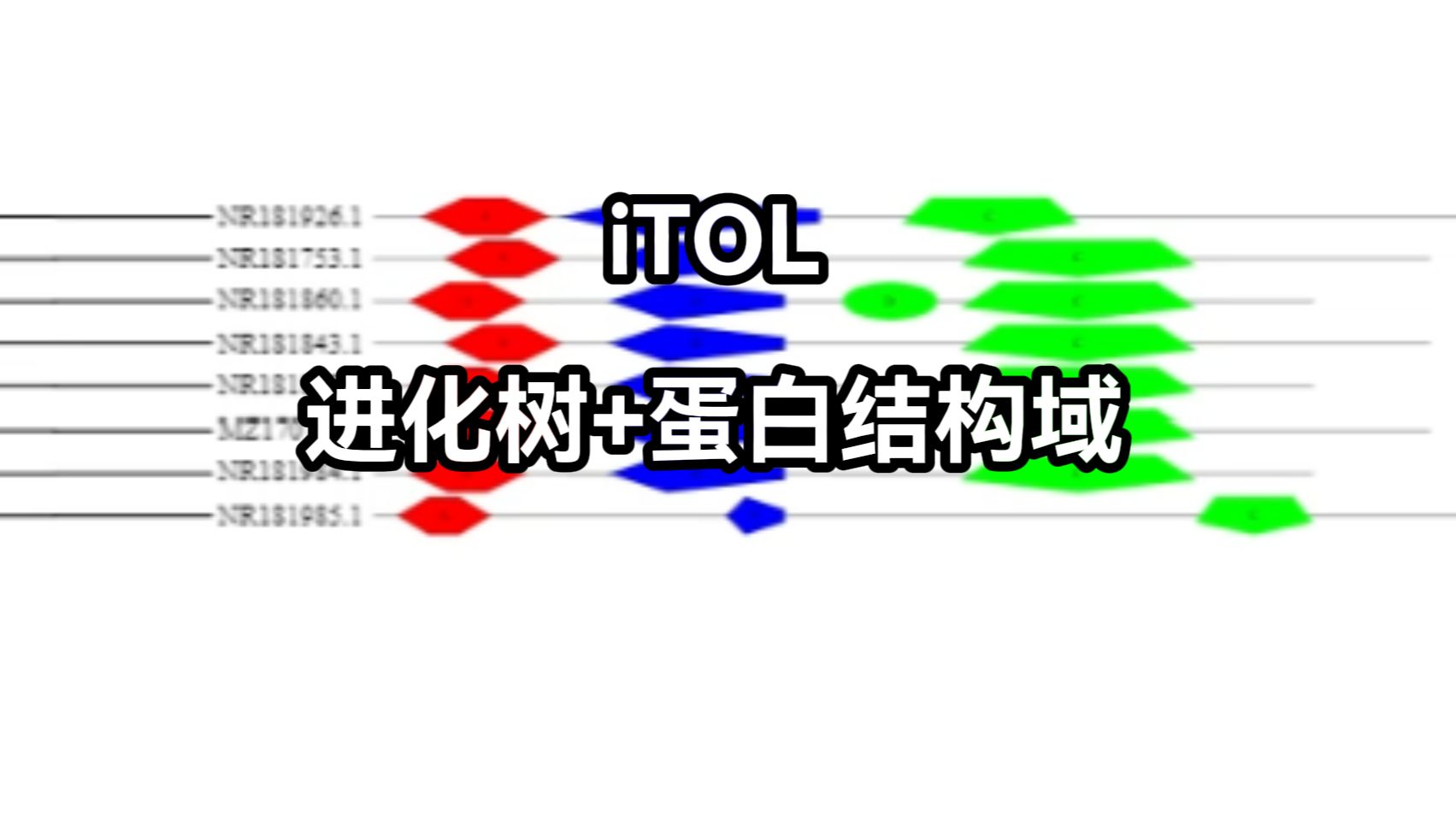 【iTOL】画进化树+蛋白结构域组合图哔哩哔哩bilibili