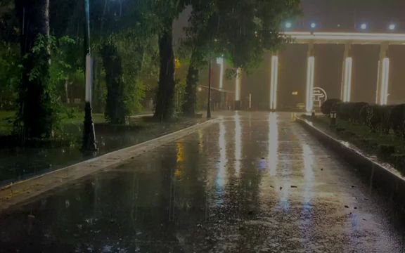 [图]暴风雨之夜助你瞬间入睡|美丽的大雨和响亮的雷声在公园里响起