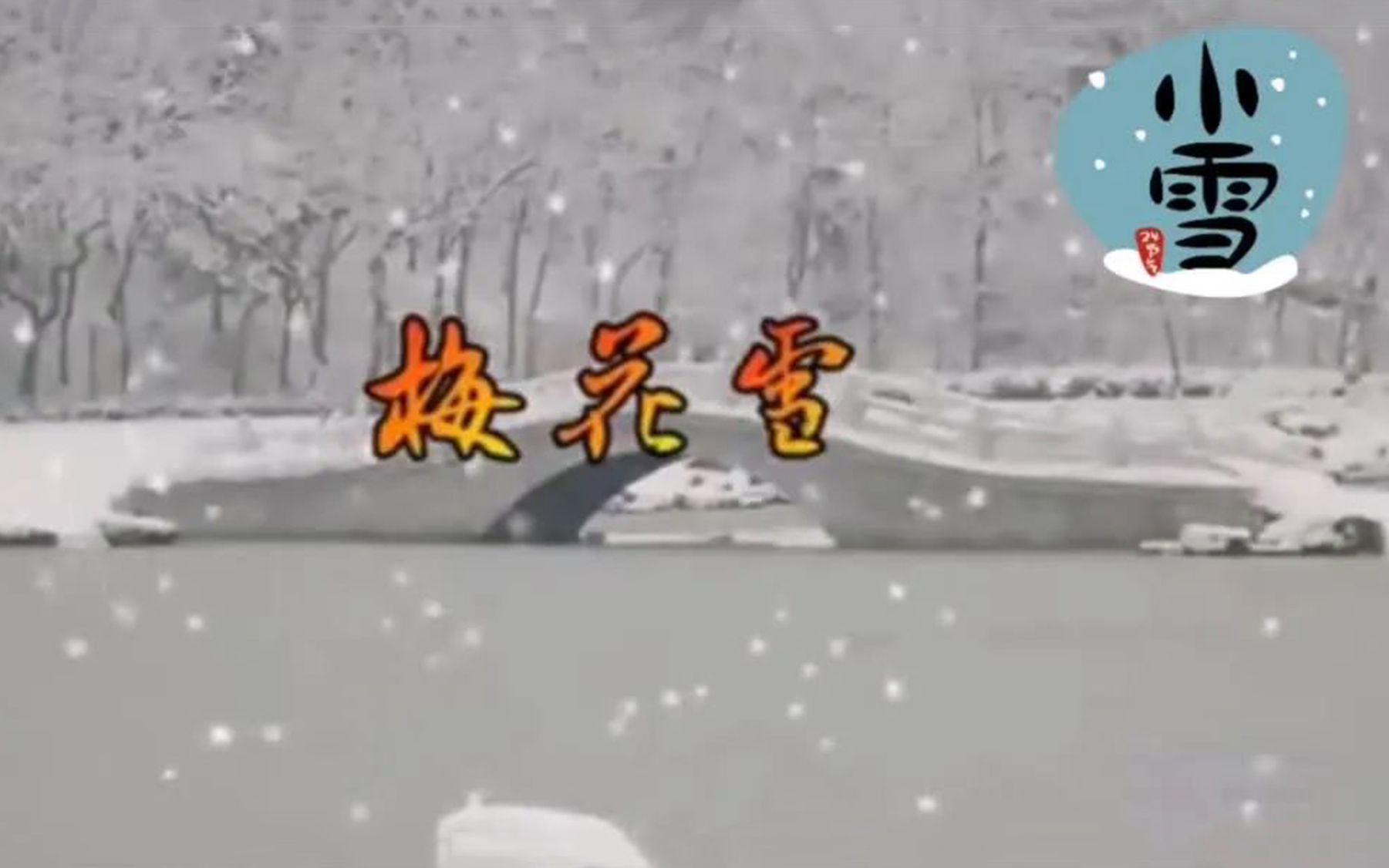 小雪至,一首好听《梅花雪》送给所有的朋友,祝吉祥安康!哔哩哔哩bilibili