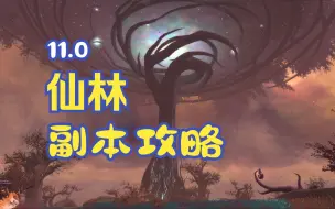 Tải video: 11.0 塞兹仙林的迷雾 副本详解