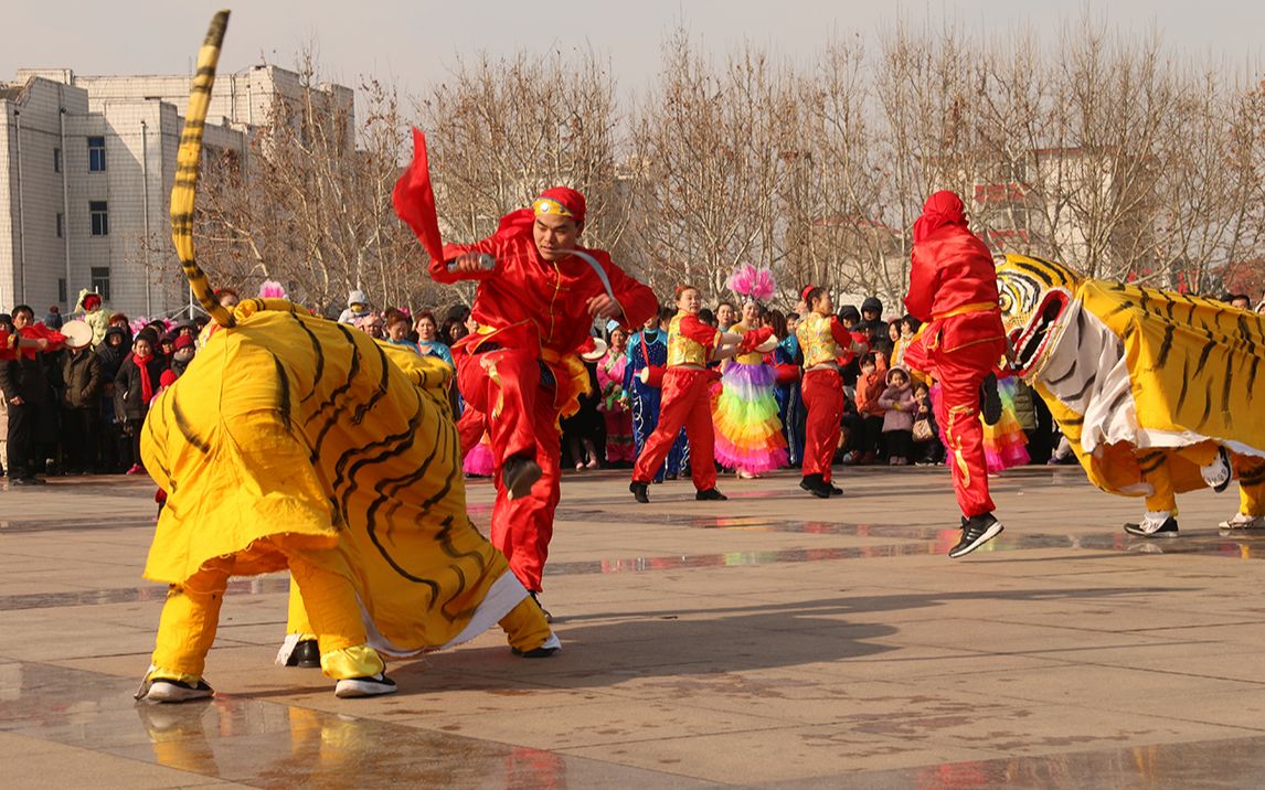 我的家乡年#东营市东营区盐垛斗虎表演