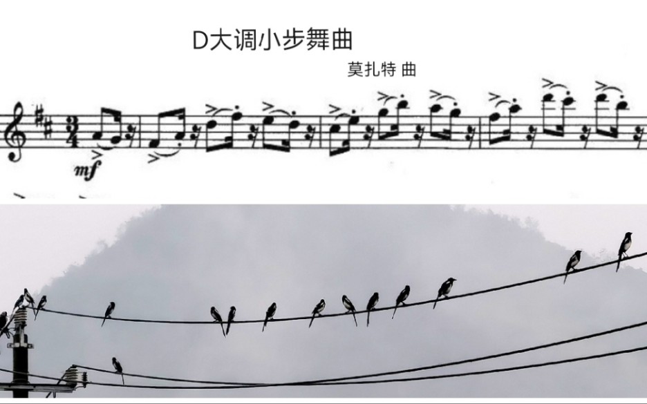 [图]长笛-曲谱同步-莫扎特 D大调小步舞曲