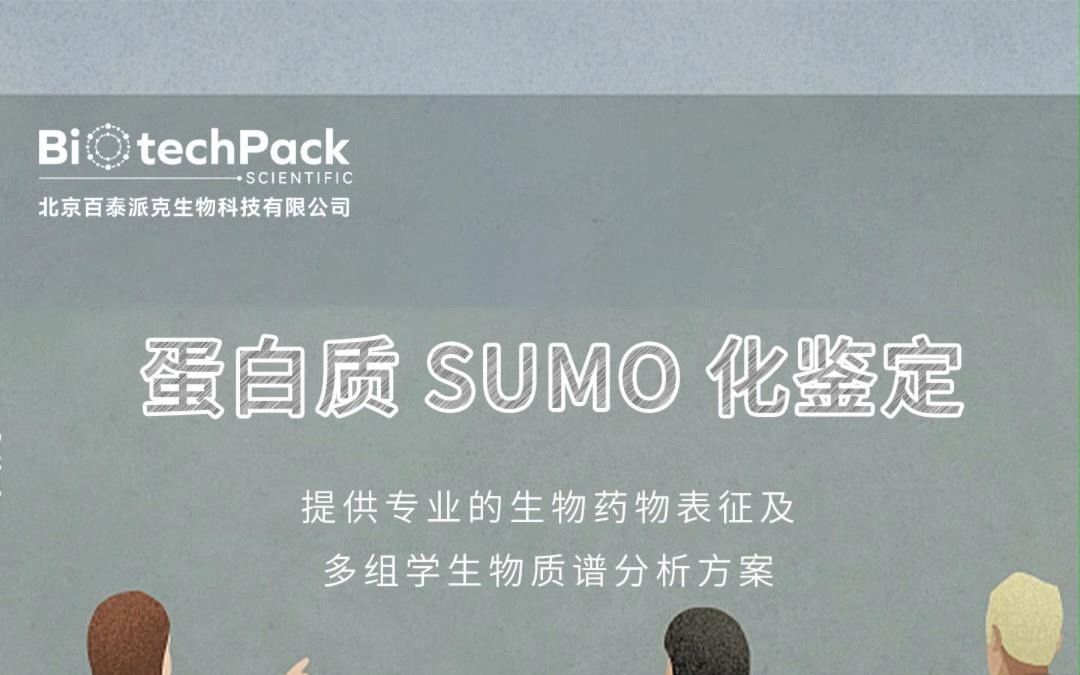 百泰派克生物科技:蛋白质SUMO化鉴定哔哩哔哩bilibili