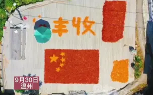 Download Video: 都市报道【农民用辣椒拼国旗，火红的爱只为祖国】