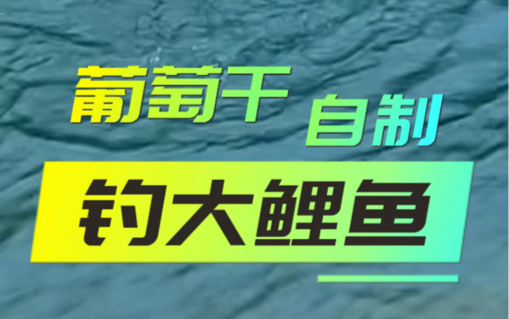 老大爷自制饵料葡萄干钓鱼哔哩哔哩bilibili