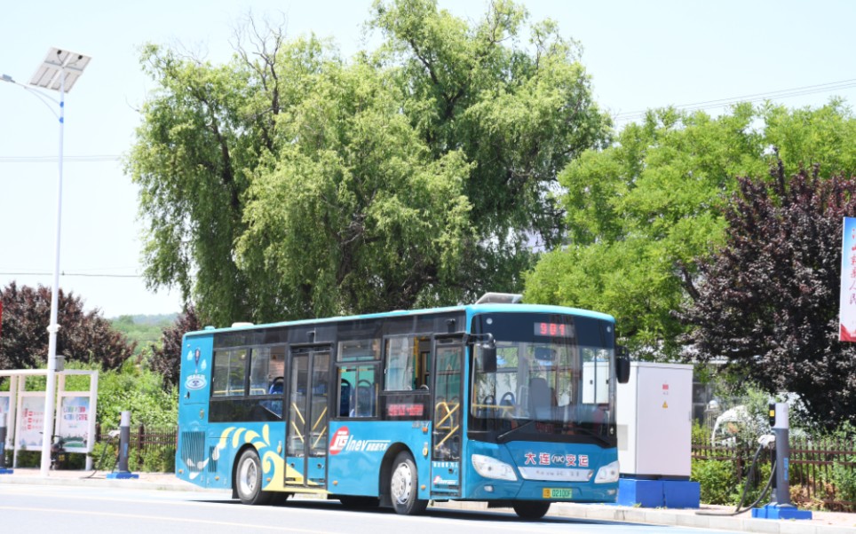 新线开通,金州901路(金州中心汽车站65亮甲店),902路——904路(亮甲