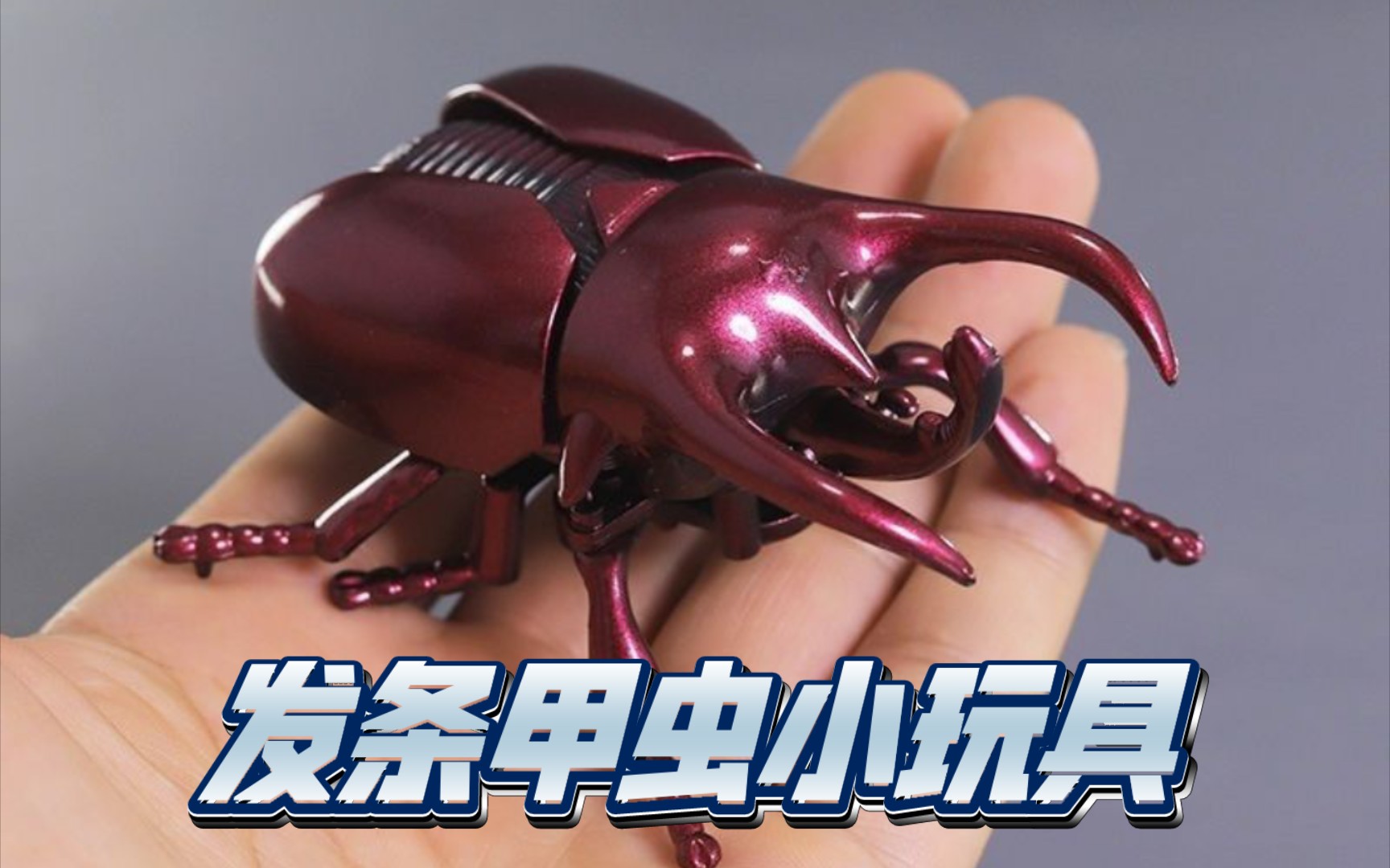 发条甲虫小玩具?买来吓小孩吗