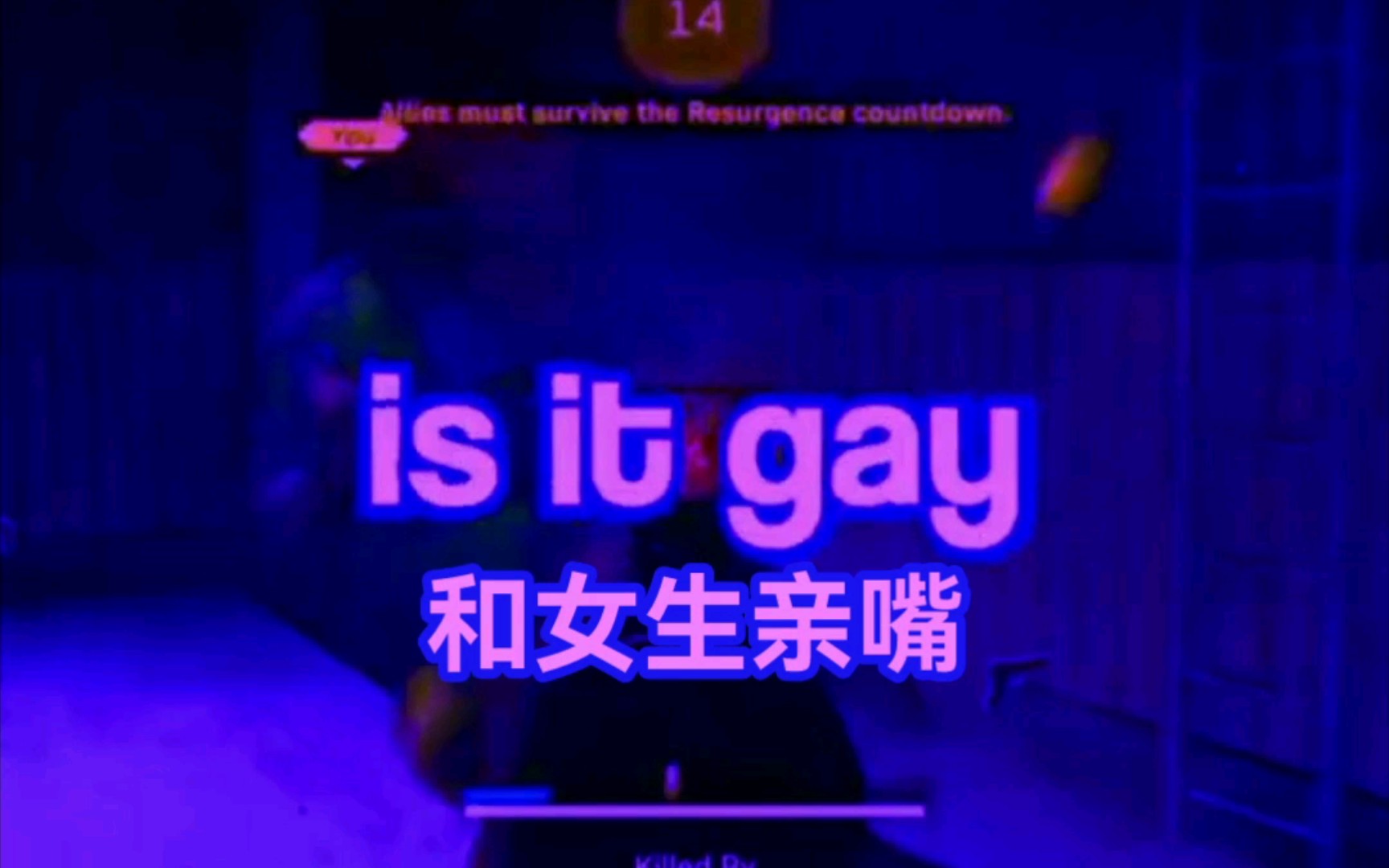 [图]Is it gay?