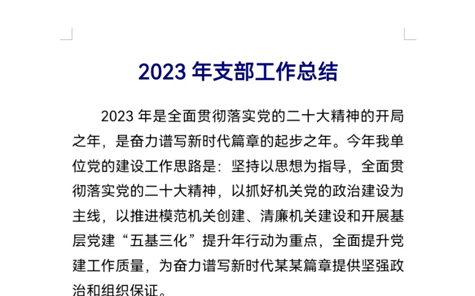 2023年支部工作总结哔哩哔哩bilibili