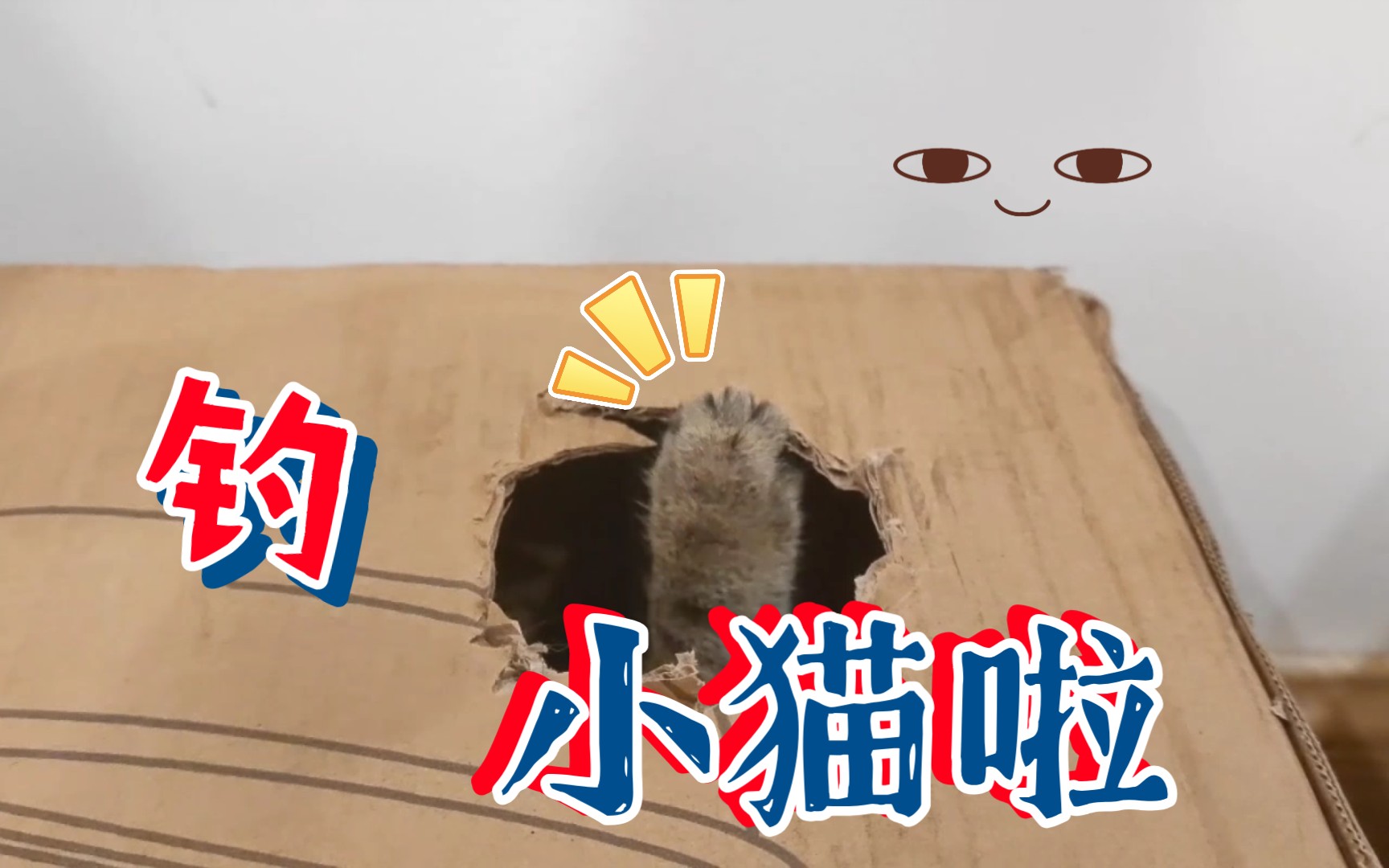 给麻球的窝掏了个洞,然后一发不可收拾