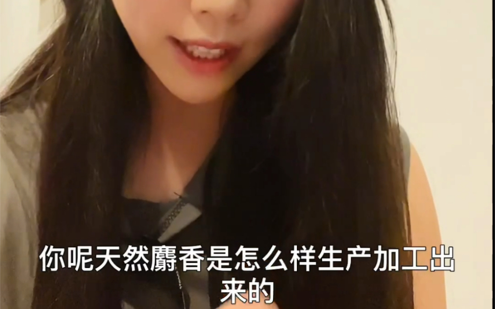 天然麝香怎么来的?林麝什么样子?哔哩哔哩bilibili