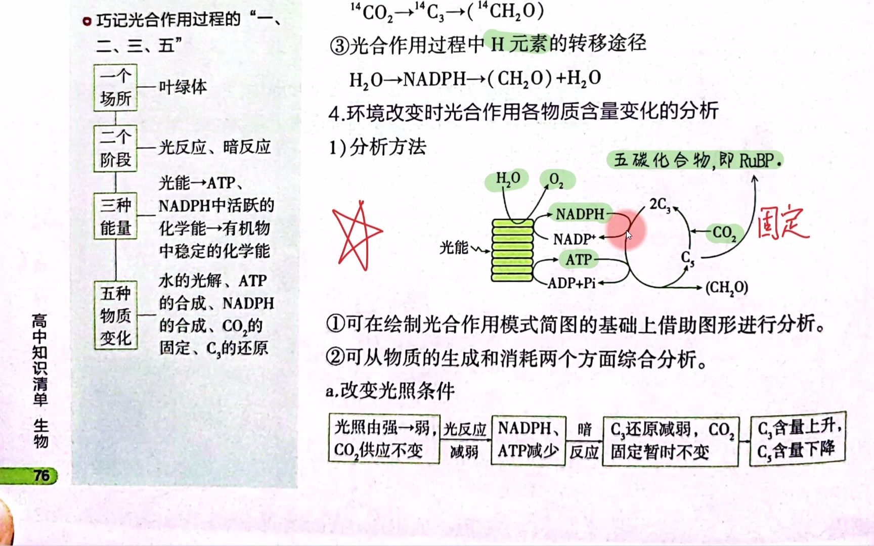 【2023生物必刷题】P30光合作用概念课2哔哩哔哩bilibili