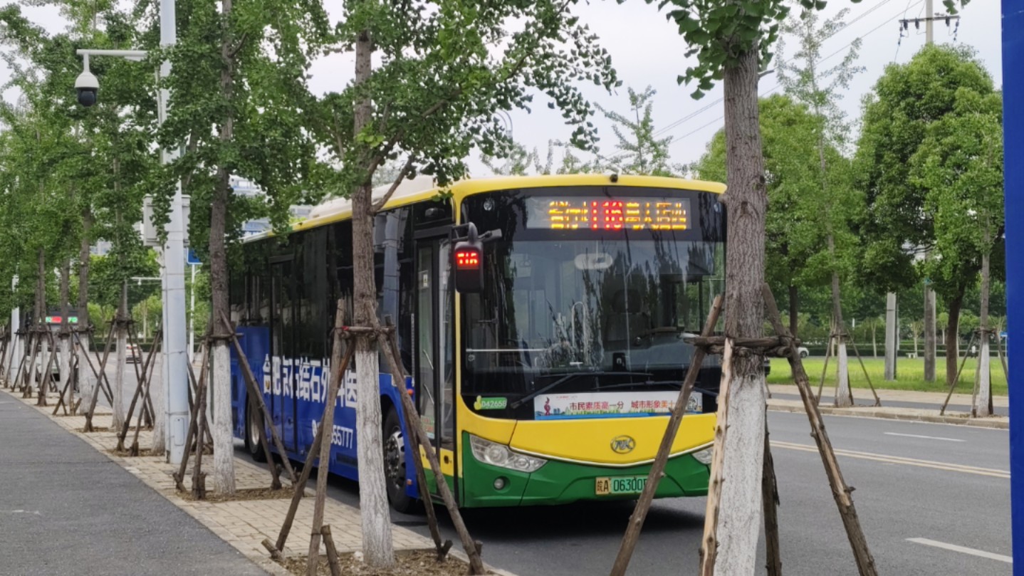 【合肥公交pov】t16路「原稿版」——(省行政中心~葛大店西)