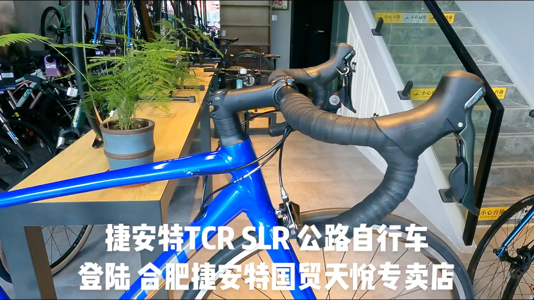 捷安特TCR SLR 碳纤维前叉 碳纤维坐管的公路自行车M码 登陆 合肥捷安特国贸天悦专卖店哔哩哔哩bilibili