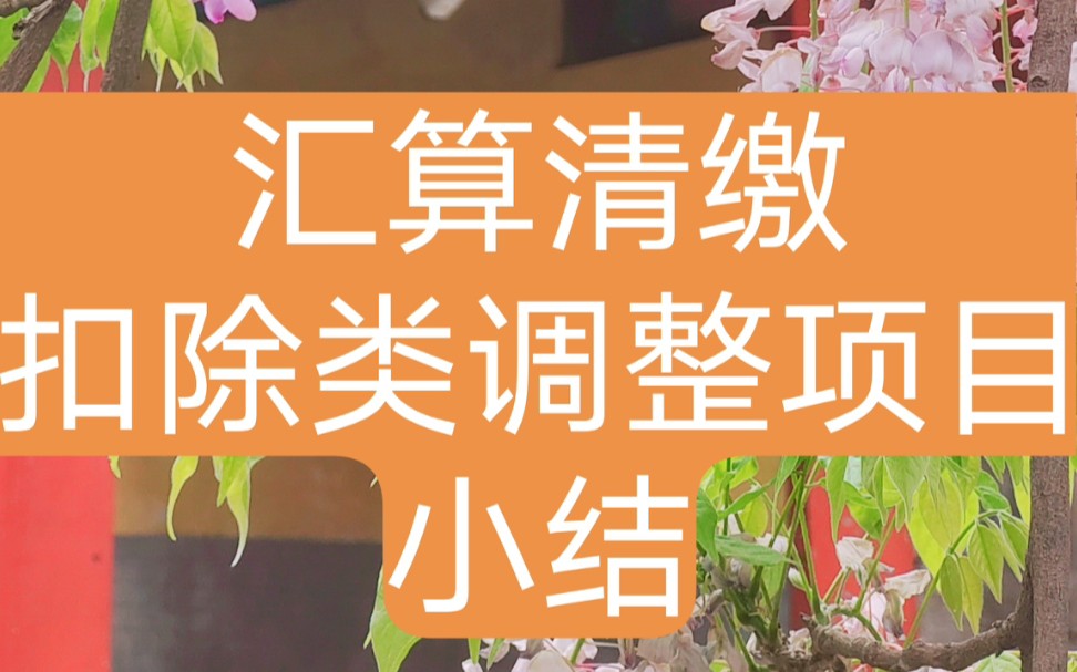 汇算清缴扣除类调整项目(企业所得税)税前扣除填报小结哔哩哔哩bilibili