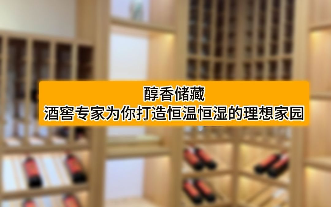 醇香储藏:酒窖专家为你打造恒温恒湿的理想家园哔哩哔哩bilibili