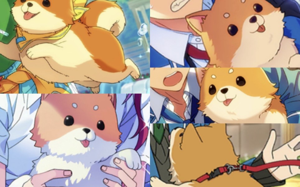 【偶像梦幻祭】大吉的bet on me