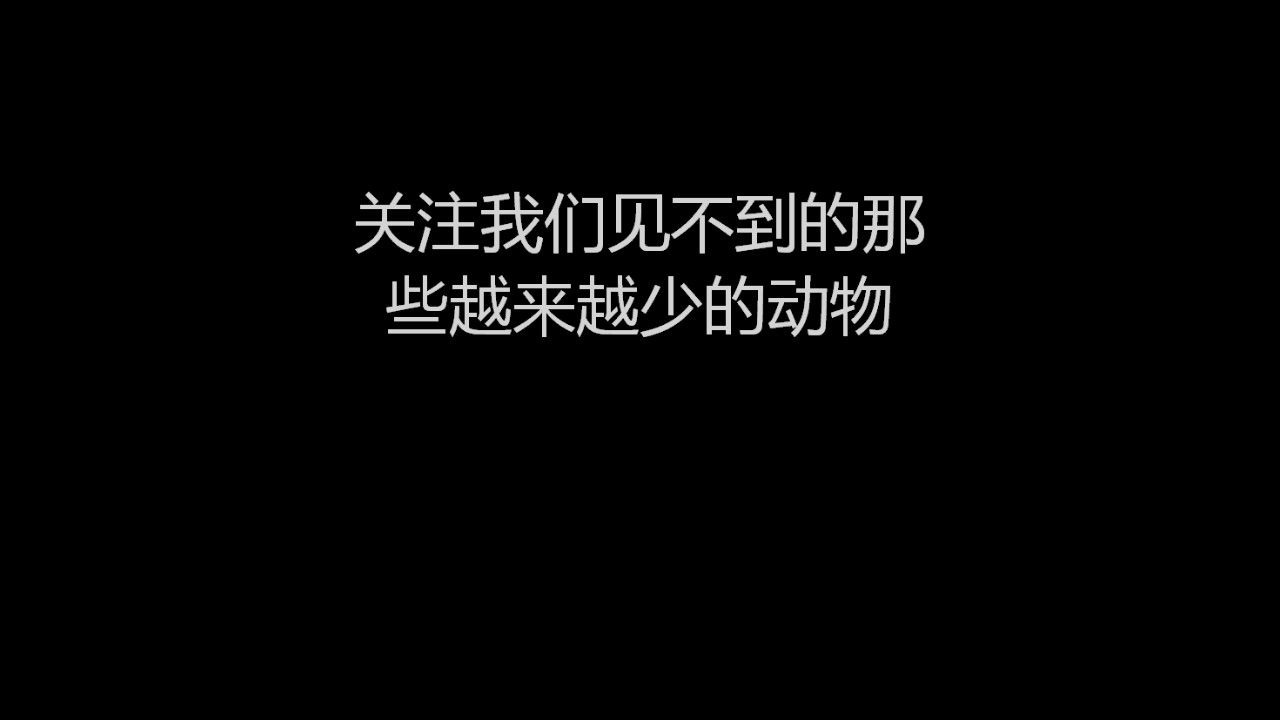 [图]几年前自己随便做的一个关于保护珍稀野生动物的视频