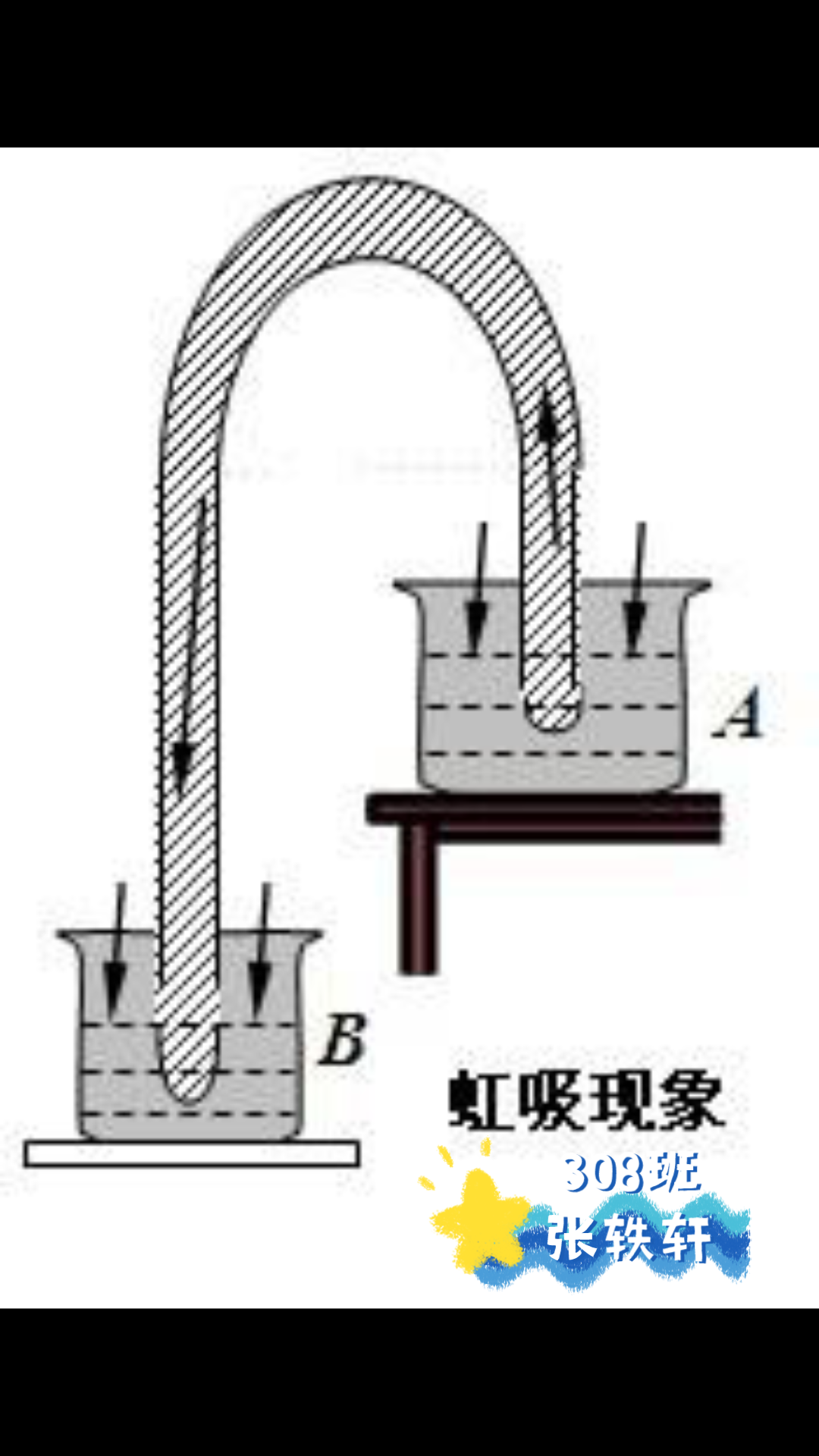 虹吸效应哔哩哔哩bilibili