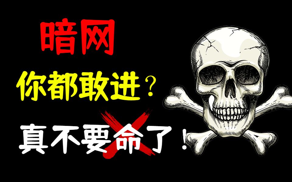 【为什么不让你去暗网】本视频提供网络安全|渗透测试|攻防演练|漏洞挖掘哔哩哔哩bilibili